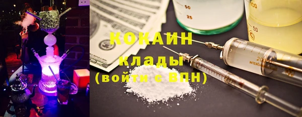 гашик Нягань