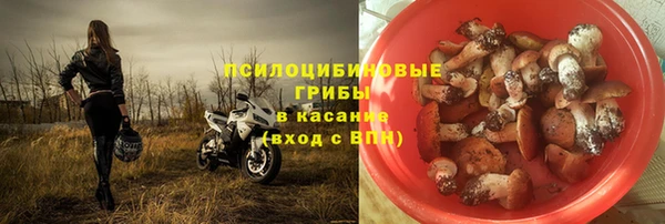 гашик Нягань