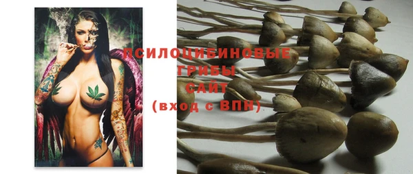 гашик Нягань